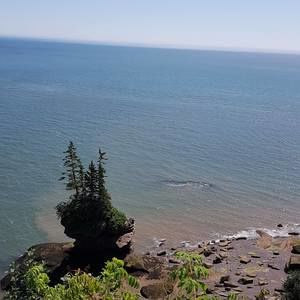 Meet your Posher, Darlene